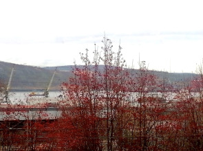 Квартира в Самом Центре Города