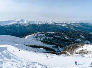 Отель BoogelWoogel Bar&Hotel Rosa Khutor