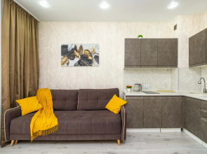 Vidovaya Studiya Flat