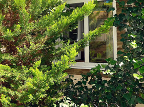 Эллинг Элен