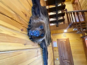 Гостевой Дом БОР'ок