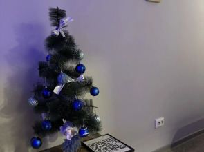 Квартира Квартира -студия однокомнатная