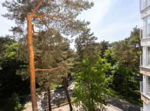 Апартаменты Вид на сосны