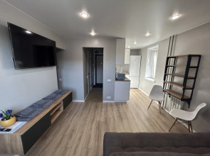 Квартира двухуровневая у Московского проспекта