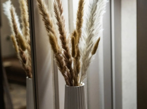 Квартира в самом сердце Выборга