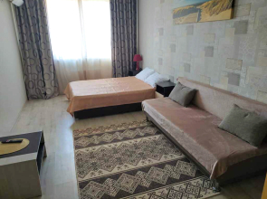 Апартаменты на Владимирской