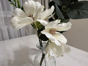 Апартаменты в Самом Центре