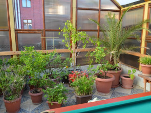 Гостевой дом Медный Всадник