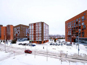 Апартаменты Петровские на Цветаевой 15 №2