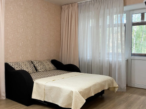 Апартаменты Квартира у ДС Торпедо на Чкалова