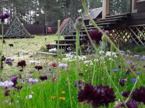 Гостевой дом Family house