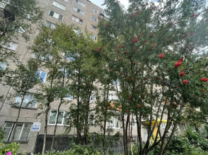 Kvartira nebabushkinvariant Apartments