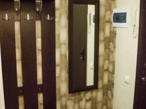 Квартира Ледовый дворец