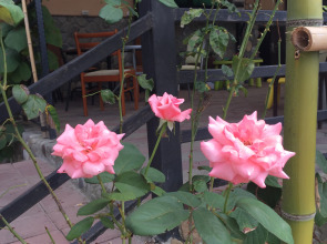 Отель Уютный причал