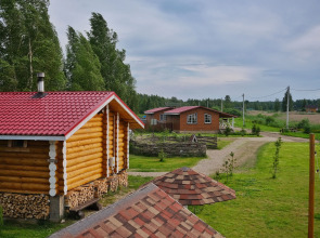 Гостевой дом Дикий Гусь