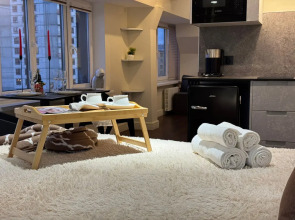 Апартаменты уютные К 513