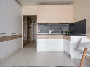 Апартаменты RentalSPb