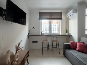 Квартира Студия серая