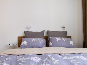 Квартира Студия-Лофт у Зоопарка по Европейским Стандартам