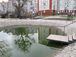 Апартаменты Amber Place