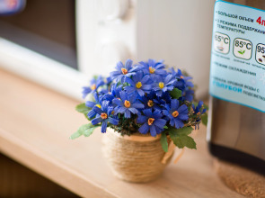 Отель Ганза