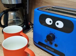 Апартаменты Рыжий Кот Центр