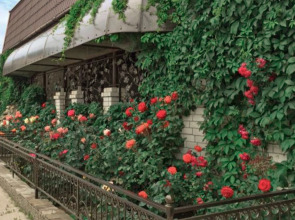 Гостевой дом Дельфиния