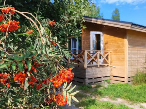 Гостевой дом Ладога Хоум - Лес