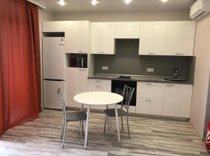 Апартаменты 1  НСК на Немировича -Данченко 158