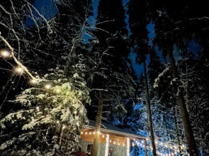 S Kaminom I Dzhakuzi V Lesu Chalet