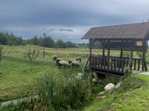 Отель Альфа Гарден