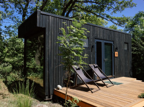 Глэмпинг Викингуд