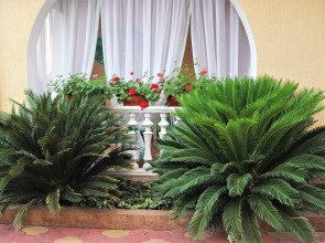 Гостевой Дом Голубая Лагуна