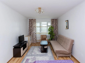 Апартаменты на Емельянова 35А (4)