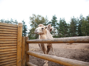 Отель Яхонты Ногинск