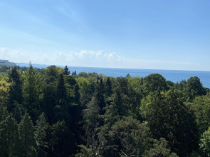 Апартаменты Дизайнерская Квартира в Новой Александрии