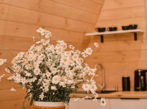 База отдыха Робин Гуд