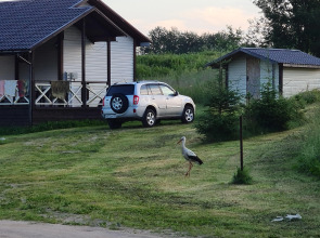 База отдыха Каменец