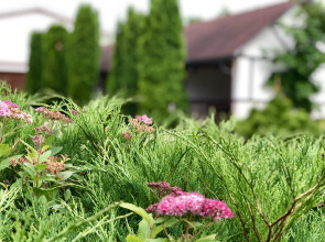 Отель Ю-Питер