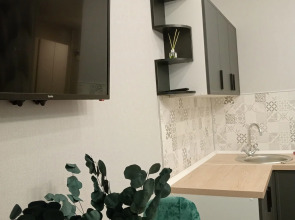 Апартаменты Студия у Глобуса