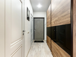 Апартаменты двухкомнатные LUX с шикарным видом на ДОН №20