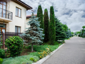 Villa Rosso Apartments