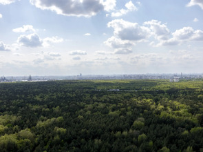 Квартира Студия на 30-ом Этаже с Видом на Лес