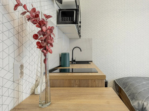 Квартира Студия Стрелка на ул. Бурнаковская 77