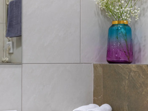 Апартаменты Viktory Apart