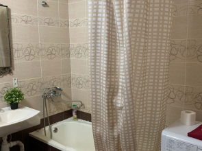 Апартаменты Apartanik