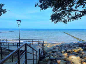 Апартаменты с видом на сосновый парк рядом с морем