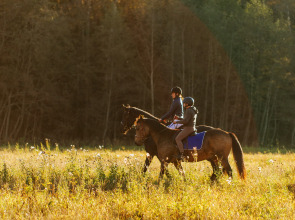 База отдыха Агротуристический комплекс Эль Ранчо