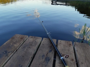 Частный дом Ладожский берег-2