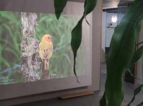 Мини-отель 4 комнаты